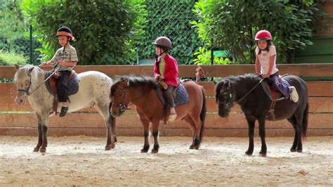 videos de poney|Stage de poney .